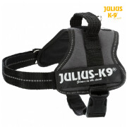 Harnais Power Julius-K9 Baby Mini pour chien GRIS