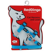 Harnais laisse chat anti fugue Basic Turquoise