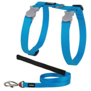 Harnais laisse chat anti fugue turquoise