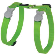 Harnais laisse chat anti fugue Basic Vert