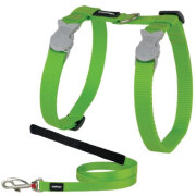 Harnais laisse chat anti fugue Basic Vert