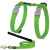Harnais laisse chat anti fugue Basic Vert