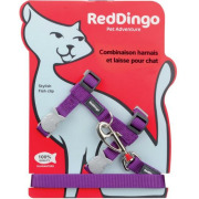 Harnais anti-fugue avec laisse pour chat violet