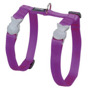 Harnais anti-fugue avec laisse pour chat violet