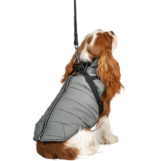 Manteau Fast gris