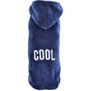 Pull chien Cool News marine