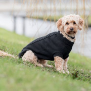 Pull Kenton noir