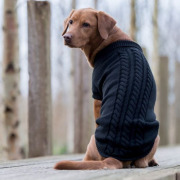 Pull Kenton noir