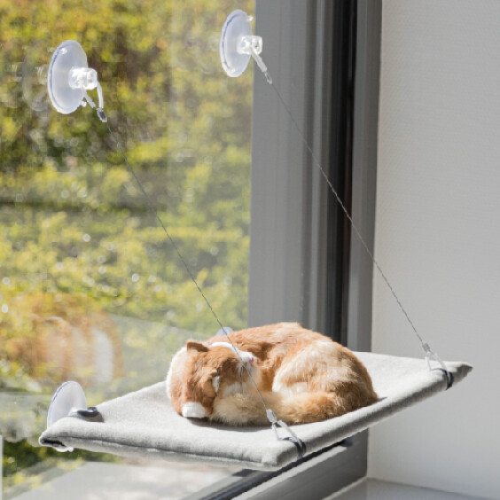 Hamac ventouse pour chat 50 x 30 cm