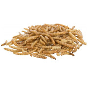 Larves de vers de farine séchées 200 g