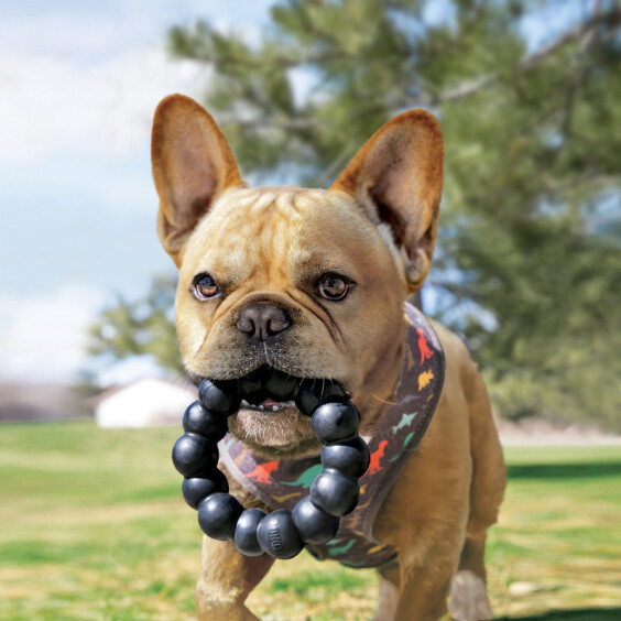 KONG Jouet Extreme Ring XL