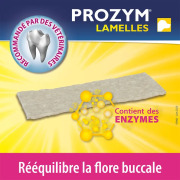 Prozym lamelles à mâcher pour chien