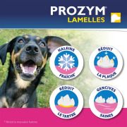 Prozym lamelles à mâcher pour chien
