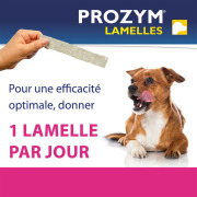 Prozym lamelles à mâcher pour chien