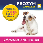 Prozym lamelles à mâcher pour chien
