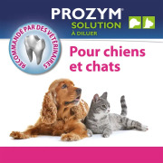 Prozym Solution à diluer RF2 pour chiens et chats