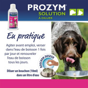 Prozym Solution à diluer RF2 pour chiens et chats