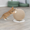 Griffoir boule pour chat