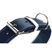 Collier petit et gros chien  Aalborg Spécial bleu