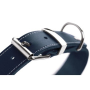 Collier pour chien Aalborg Spécial bleu Hunter