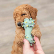 Jouet Mini Haltère Junior pour Chiot 10 cm