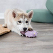 Jouet Mini Anneau Junior pour Chiot ø8 cm