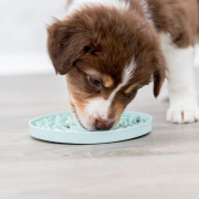 Lick’n'Snack Junior