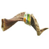 Corne de mouton pour chien Bubimex
