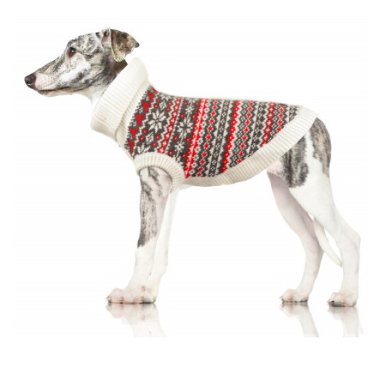 Milk & Pepper Pull Kitilla pour chien
