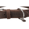 Rustic en cuir pour chien