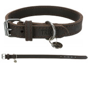 Collier Rustic en cuir gras pour Chien