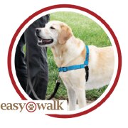 Harnais anti traction Deluxe Easy Walk + laisse