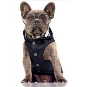 Manteau Matelot Babord BLEU MARINE