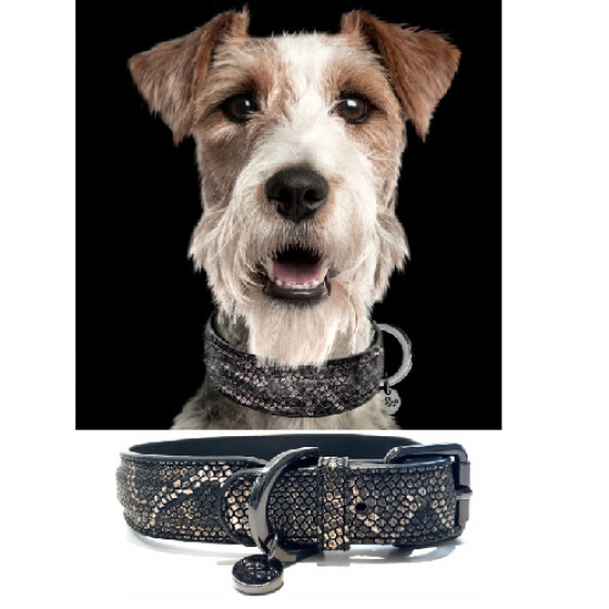Collier Luxe Python pour Chien