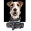 Collier Python pour Chien T30 - 27 à 32 cm