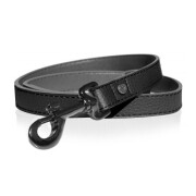 Collier luxe, original Calavera pour Chien