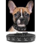 Collier luxe, original Calavera pour Chien