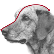 Muselière de Frappe pour chien Julius-K9