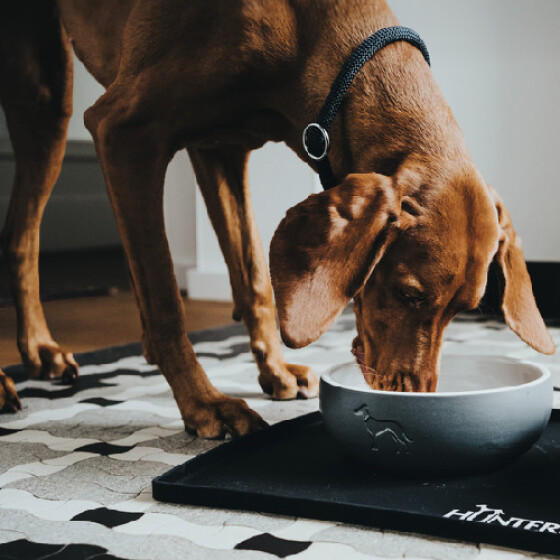 Gamelle design Céramique KERAMIK GRIS