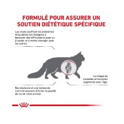 ROYAL CANIN Croquettes Feline Diet Mobility