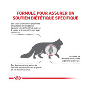 ROYAL CANIN Croquettes Feline Diet Mobility Sac de 2 kg