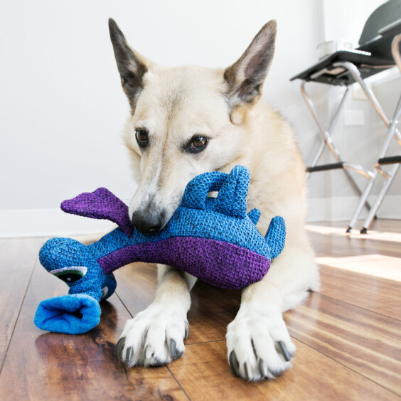 KONG Peluche Woozles Blue Medium