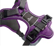 Harnais Divo pour chien qui tire fort VIOLET