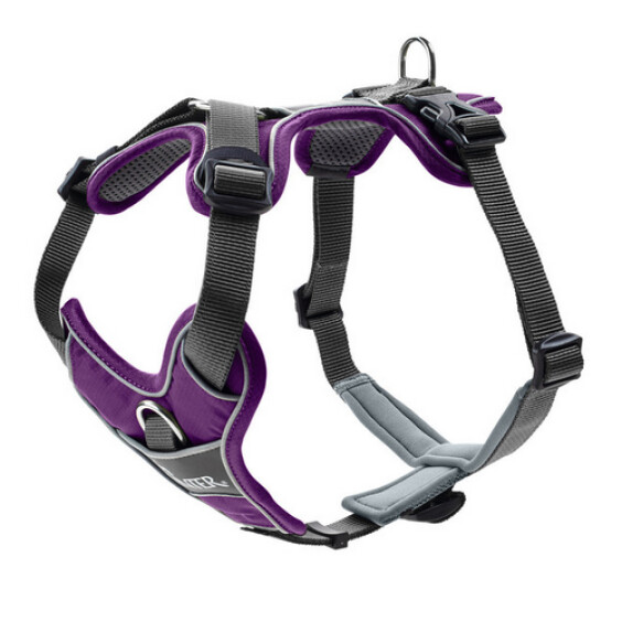 Harnais Divo pour chien violet Hunter