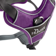 Harnais Divo pour chien violet Hunter