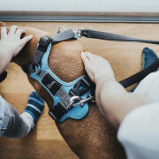 Harnais Divo pour chien BLEU CLAIR