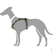 Harnais Divo anti-traction pour chien vert Hunter