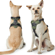 Harnais Divo anti-traction pour chien vert Hunter