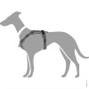 Harnais Divo anti-traction pour chien gris Hunter