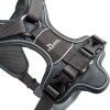 Harnais Divo anti-traction pour chien gris Hunter